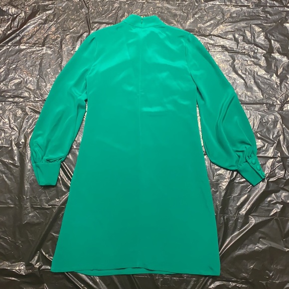 Goat Dress - Picture 2 of 3